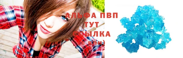 спиды Волосово