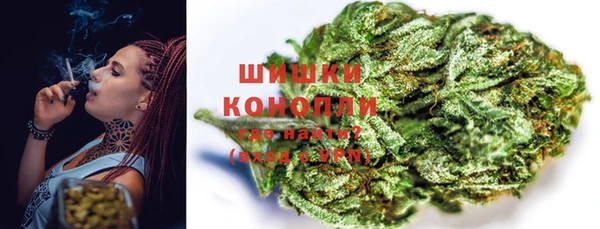 мдпв Тавда