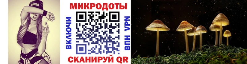 Псилоцибиновые грибы Magic Shrooms  ссылка на мегу маркетплейс  Нязепетровск  купить наркотик 